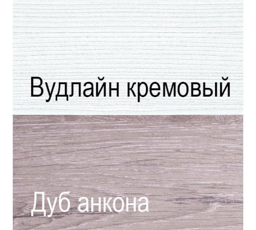 Шкаф для одежды с зеркалом Оливия 1DZ
